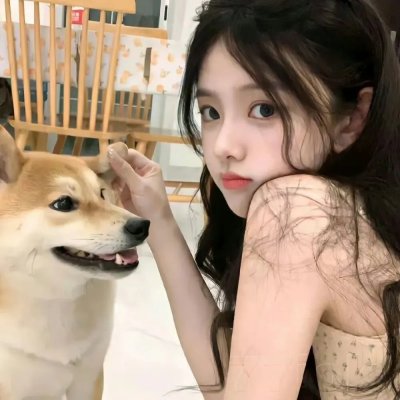 齐姆与友